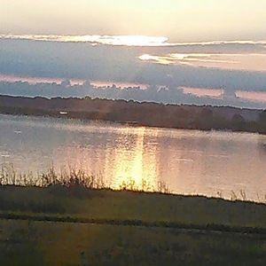 Meet your Posher, Betsy